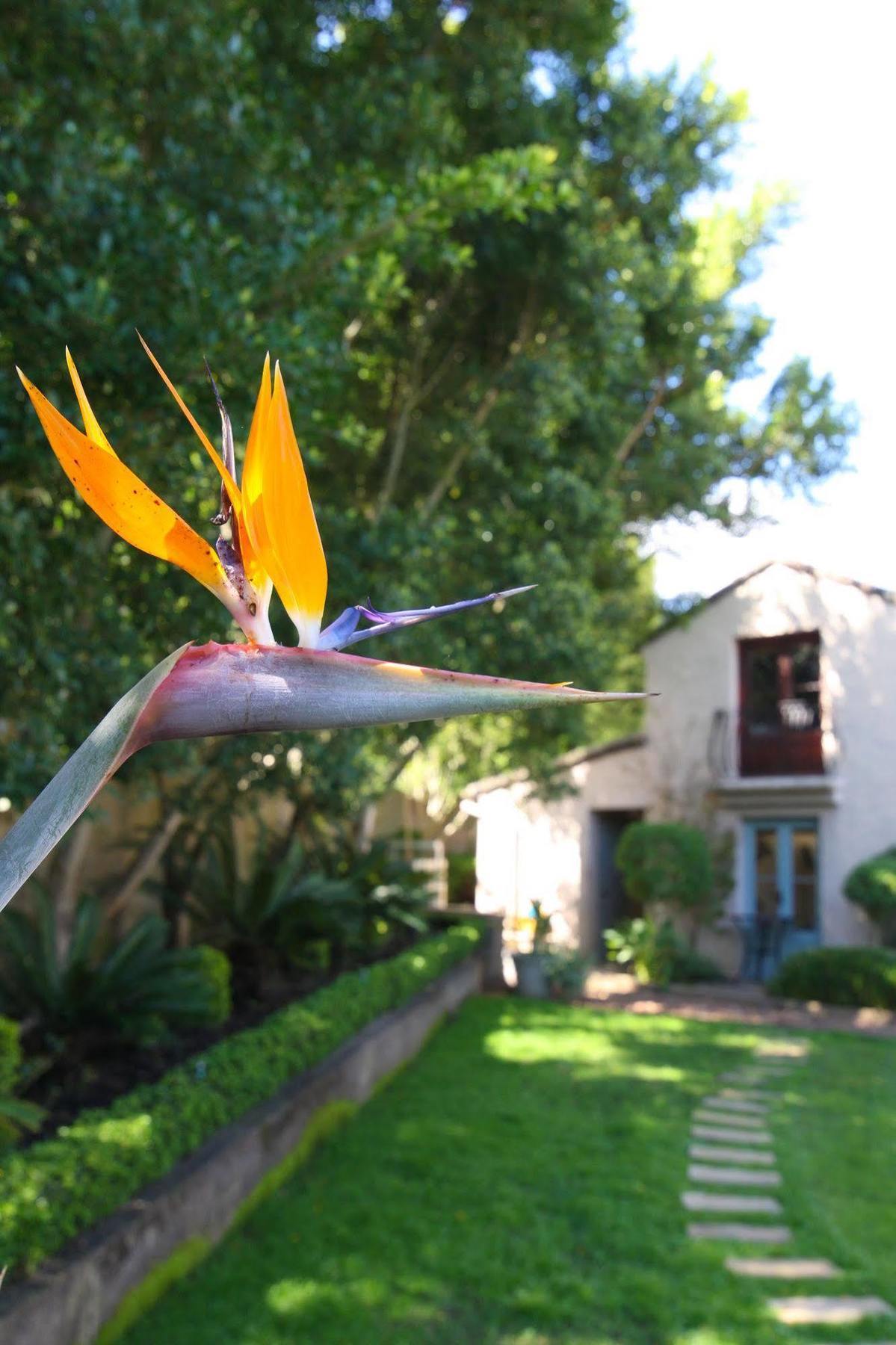 Babette Bed And Breakfast Swellendam Ngoại thất bức ảnh