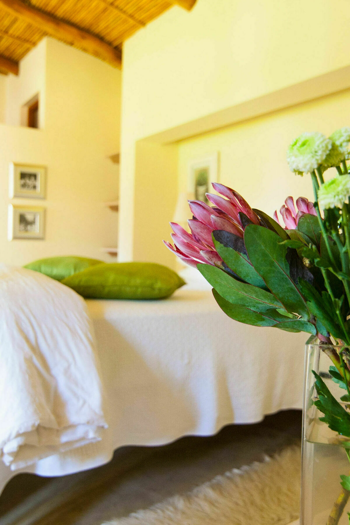 Babette Bed And Breakfast Swellendam Ngoại thất bức ảnh